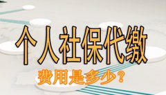 个人代缴社保多少钱？今天跟你掰扯掰扯