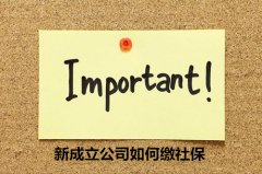 您知道新成立公司如何缴社保吗？真的很重要