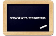 在武汉新成立公司如何缴社保小编为您支招