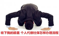 <b>收下我的膝盖 个人代缴社保怎样办理流程</b>