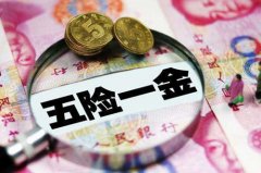 <b>为您推荐五险一金代缴机构——方阵金保网</b>