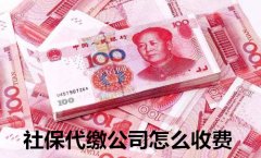 <b>方阵金保网 社保代缴公司怎么收费</b>