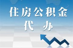 个人可以补缴公积金吗？金保网值得你的信赖