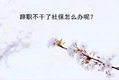 辞职不干了社保怎么办呢？能否不缴？