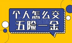 个人怎么交五险一金去落户买房？