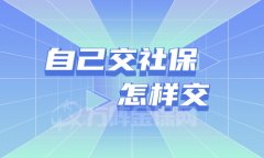 在武汉离职后，自己交社保怎样交？