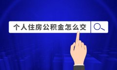 在武汉可以个人缴纳公积金吗？找方阵金保网！