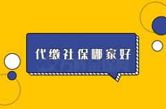 在武汉代缴社保哪家好？