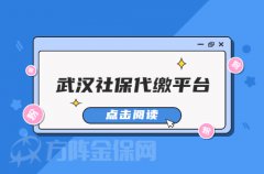方阵金保网，值得信赖的武汉社保代缴平台