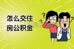 怎么交住房公积金？找一家代缴公司轻松解决！