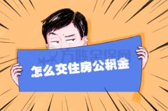 个人怎么交住房公积金？找方阵金保网！