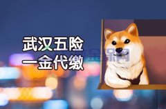 方阵金保网值得信赖的武汉五险一金代缴公司