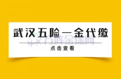 武汉五险一金是否能够代缴呢？