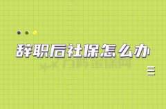 辞职后社保怎么办？这样操作可以不断缴！