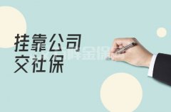 挂靠公司交社保，找方阵金保网