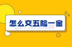 离职后，自己应该怎么交五险一金呢？