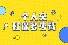 个人交社保多少钱？金保网小编讲给你听