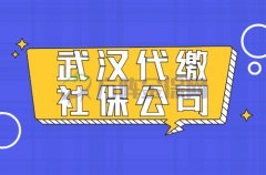 武汉代缴社保公司如何选择？从这几个维度考量