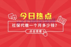 武汉个人社保代缴一个月多少钱