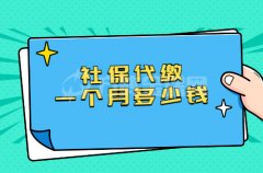 在武汉个人社保代缴一个月多少钱？