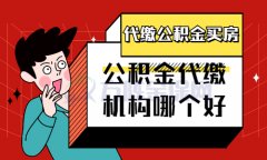 <b>公积金代缴机构哪个好？小编教你选择！</b>