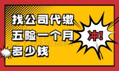 武汉找公司代缴五险一个月多少钱？