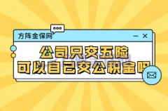 在武汉公司只交五险可以自己交公积金吗？