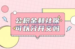 公积金和社保可以分开交吗？可以的