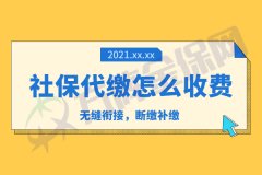 社保代缴怎么收费？分为这两个板块！