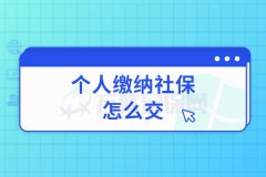 个人缴纳社保怎么交，方阵小编为您支招