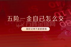 五险一金自己怎么交？可以选择代缴