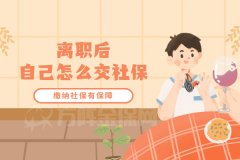 这份工作不想干了，离职后自己怎么交社保？