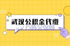 武汉公积金代缴有贷款成功的吗？