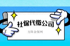 没有单位，找社保代缴公司缴社保可以吗？