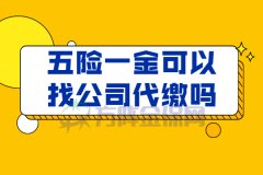 个人在武汉五险一金可以找公司代缴吗？