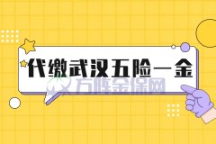 代缴武汉五险一金怎么收费？