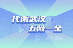 自己代缴武汉五险一金可以吗？