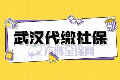 武汉代缴社保可以用来落户买房吗？