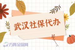 公司可以找武汉社保代办吗？