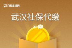 个人在武汉社保代缴怎么办？怎么收费？