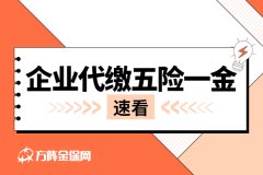 企业代缴五险一金，就找方阵金保网！