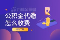 在武汉个人进行公积金代缴怎么收费？