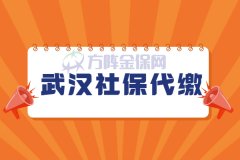 武汉社保代缴找哪里？