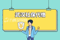 武汉社保代缴标准是多少？