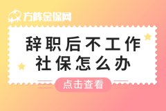 辞职后不工作社保怎么办，这个方法你知道吗？