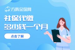 在武汉想社保代缴多少钱一月？