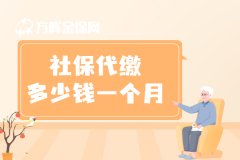 <b>社保代缴多少钱一月？一起来了解下！</b>