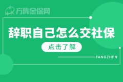 辞职自己怎么交社保？自助办理真方便！