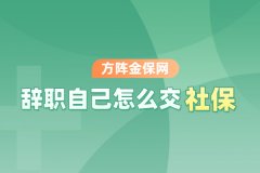 辞职自己怎么交社保？这种方式你知道吗？