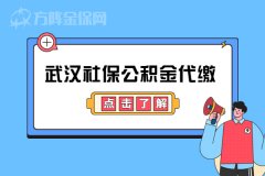 武汉社保公积金代缴可以吗